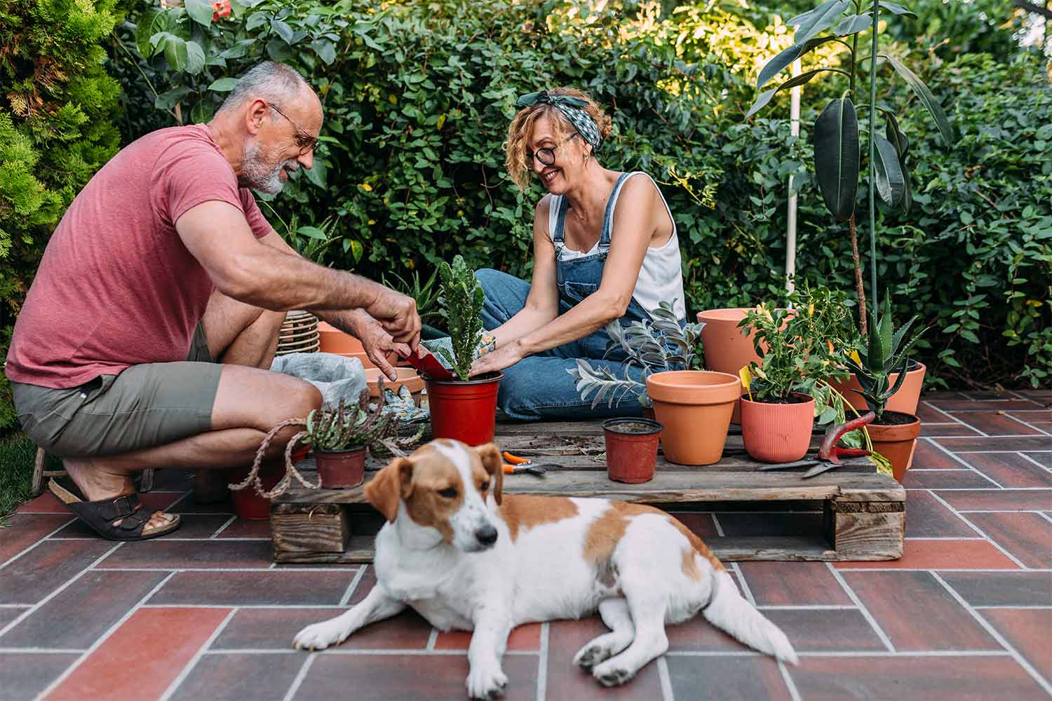Older couple repotting plants