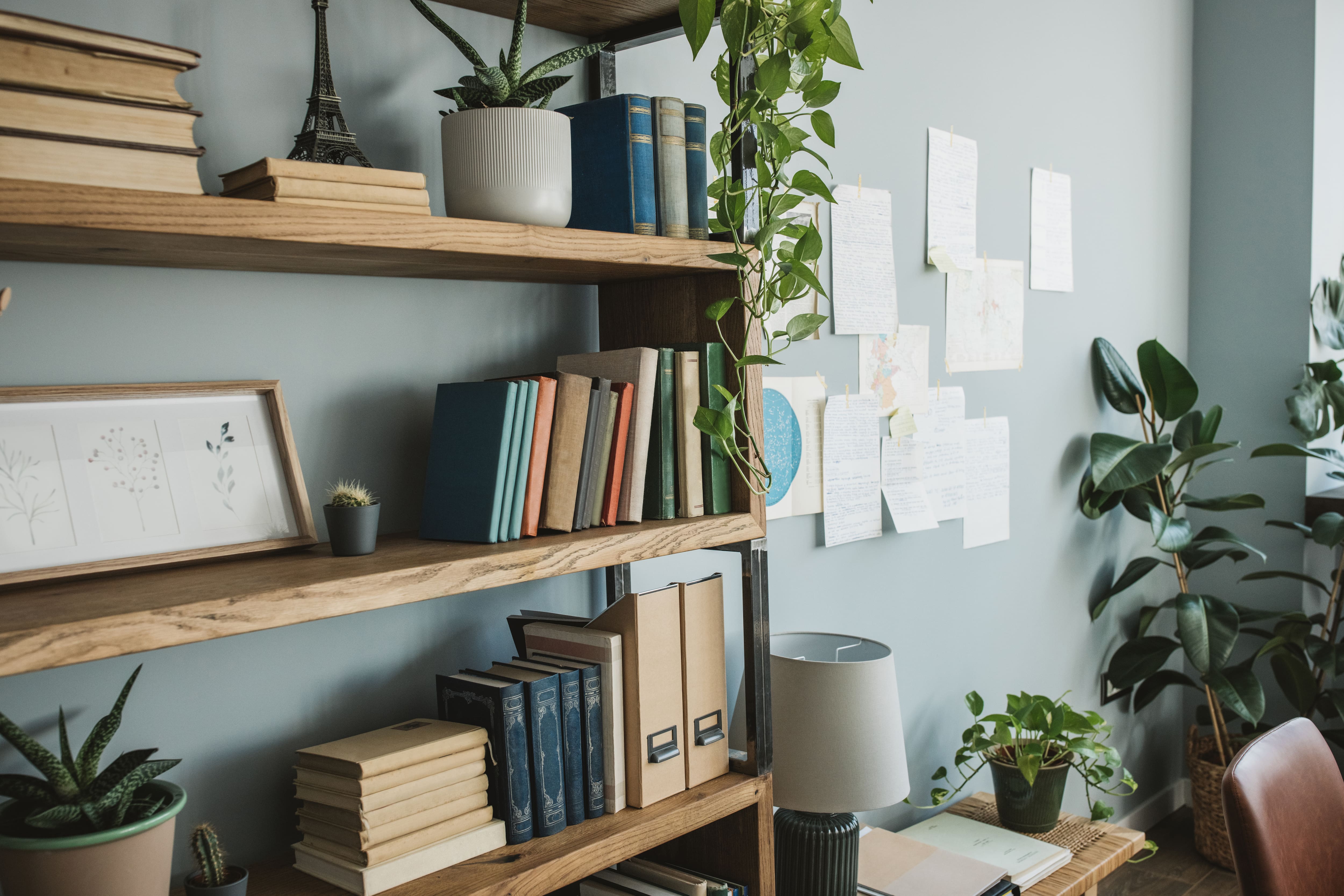 Modern home office featuring wood bookshelves, plants, and a leather chair