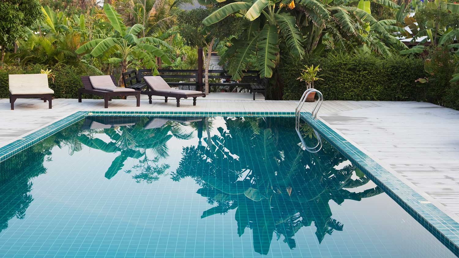 Tiled swimming pool surrounded by tropical plants
