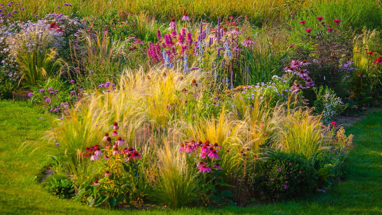 A landscaped garden with ornamental grass