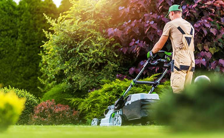 Professional mows a nice yard
