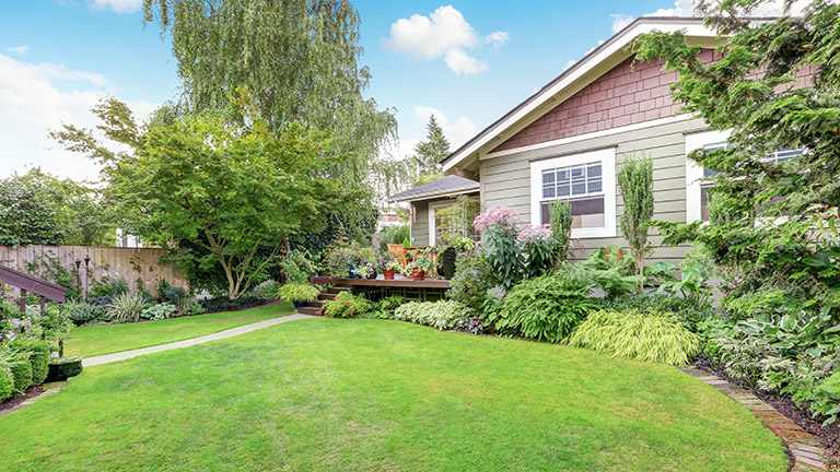 Nicely landscaped back yard