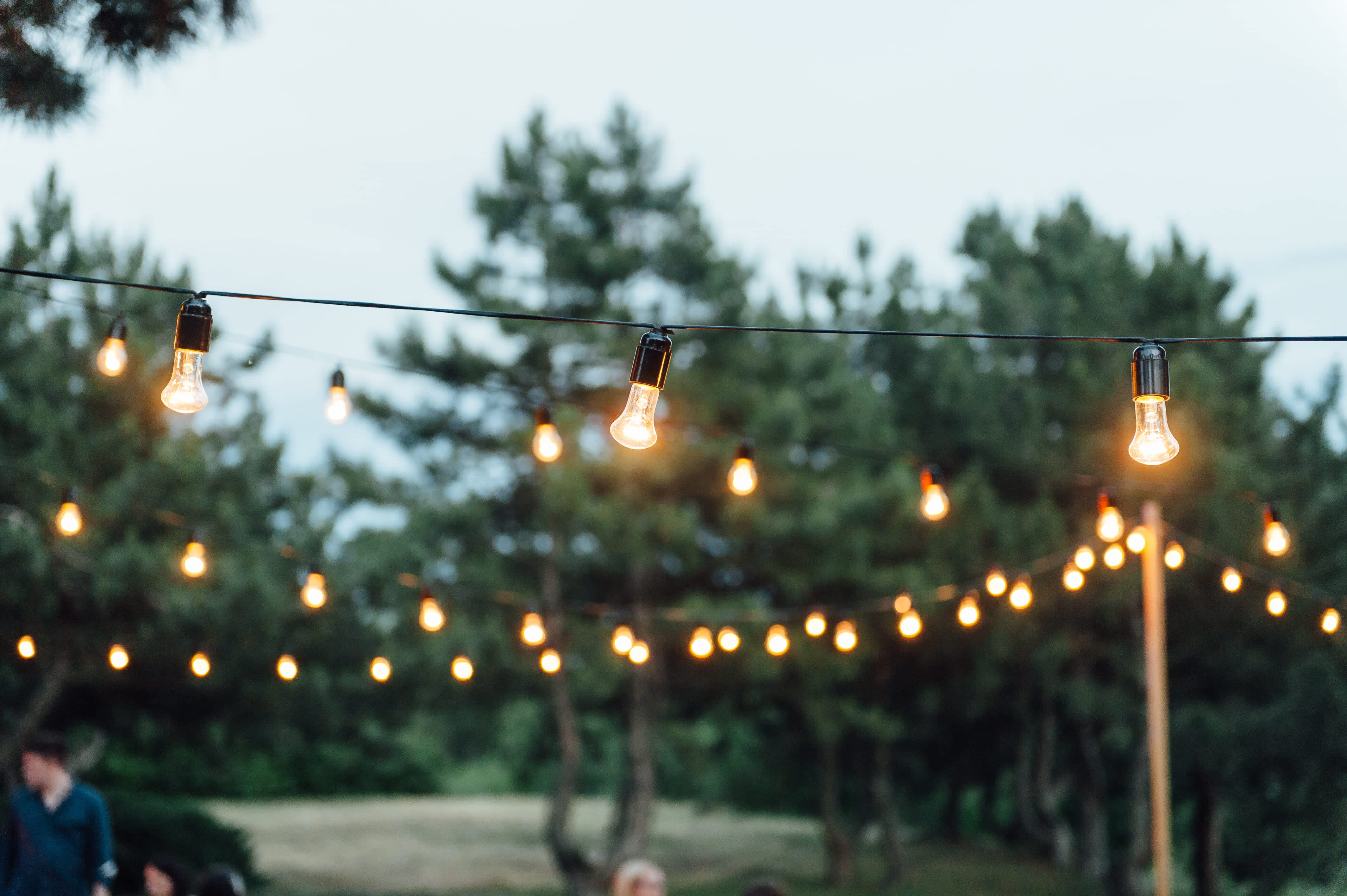 Bulbed string lights hanging from posts in a backyard