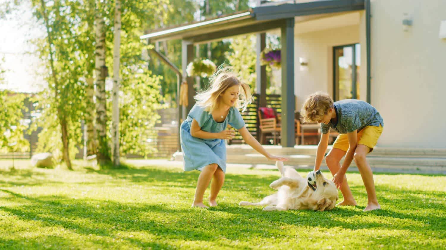 Kids having fun with their dog in the garden