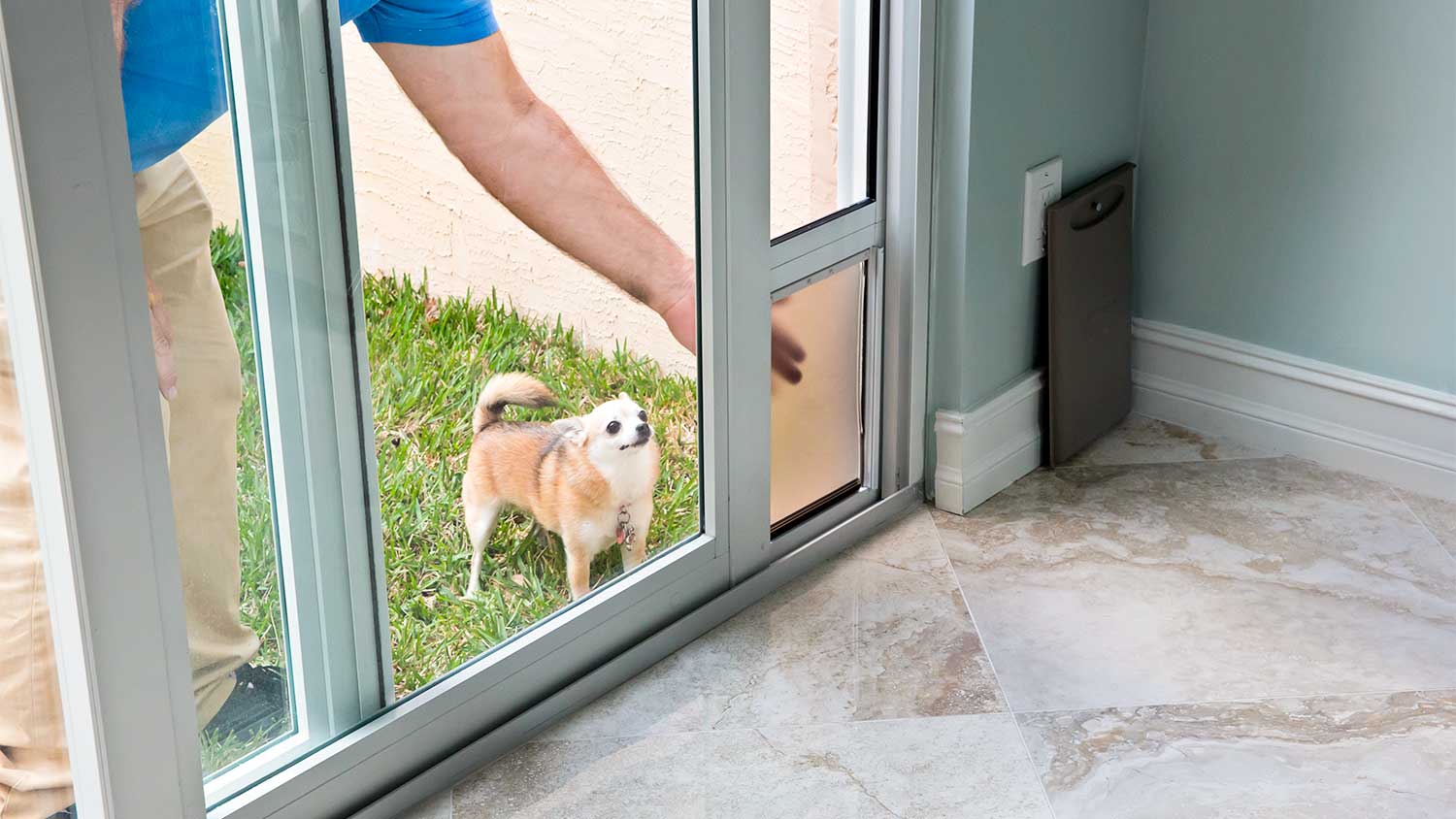 A man shows his dog the pet door
