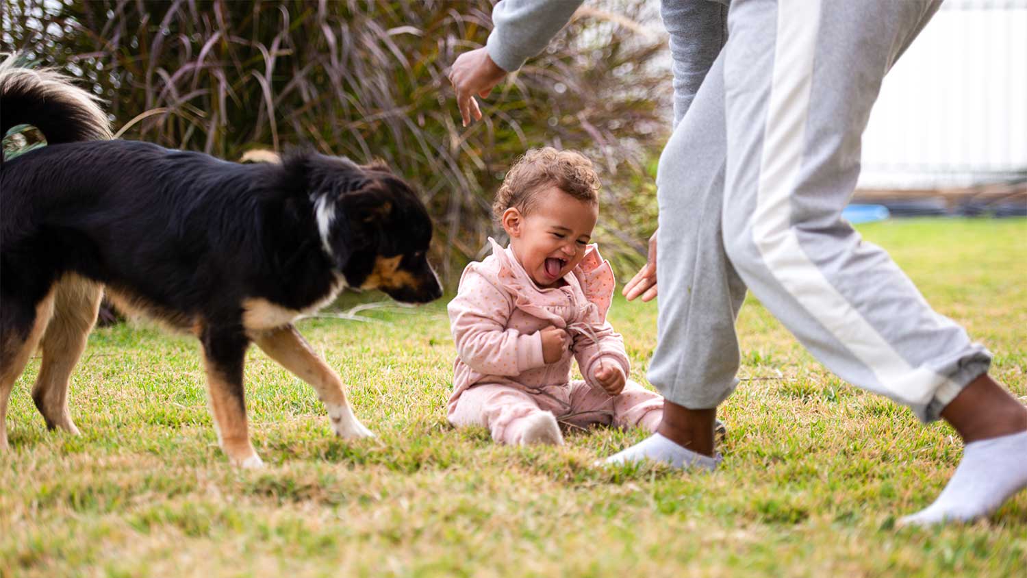 A baby and dog play in a backyard