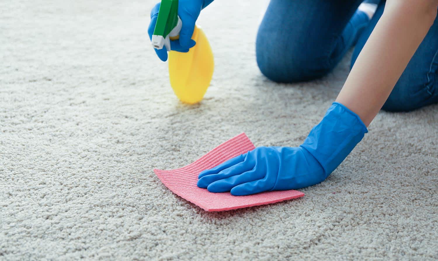 Woman cleaning carpet with spray bottle and cloth