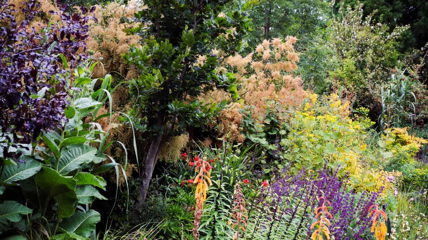 Flowers in a house garden