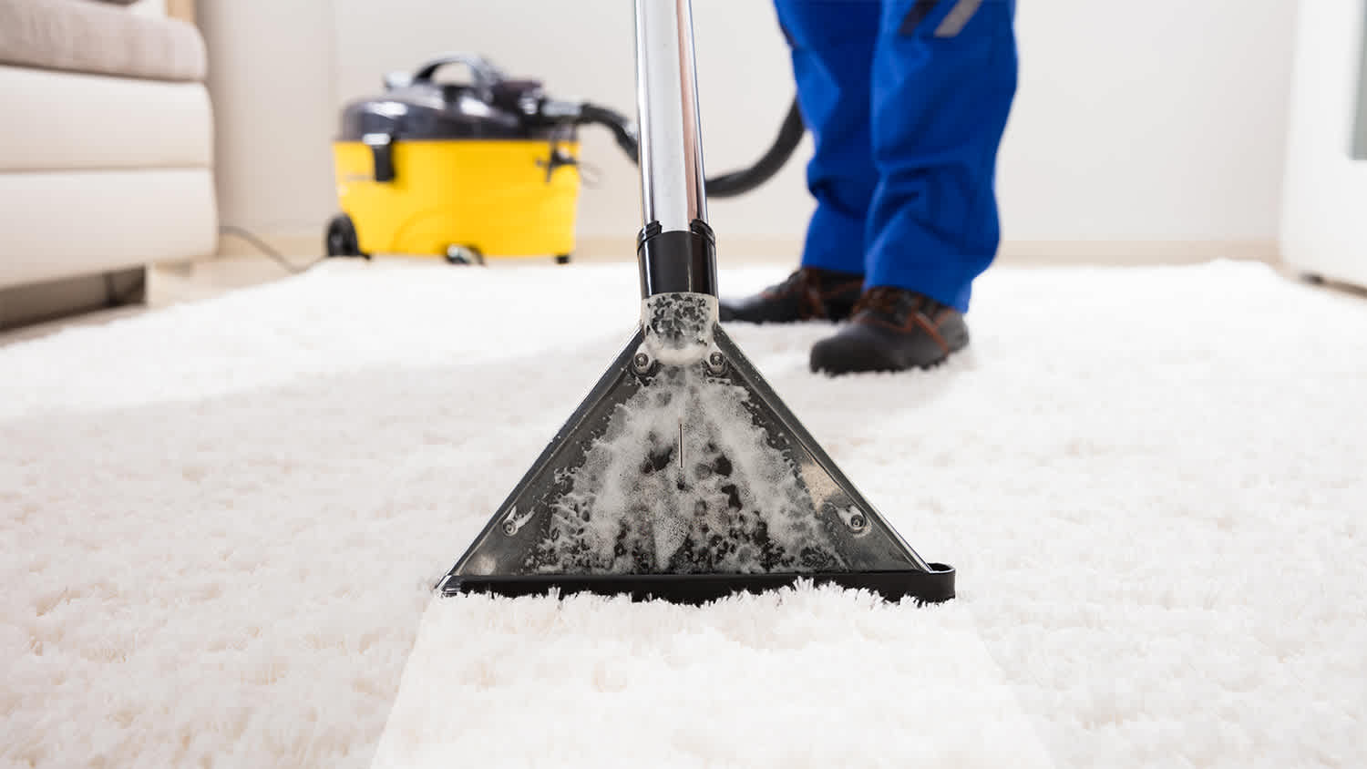 professional using steamer on white carpet