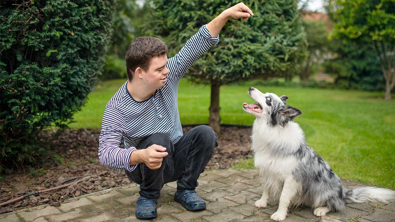 A man plays with his dog in a backyard