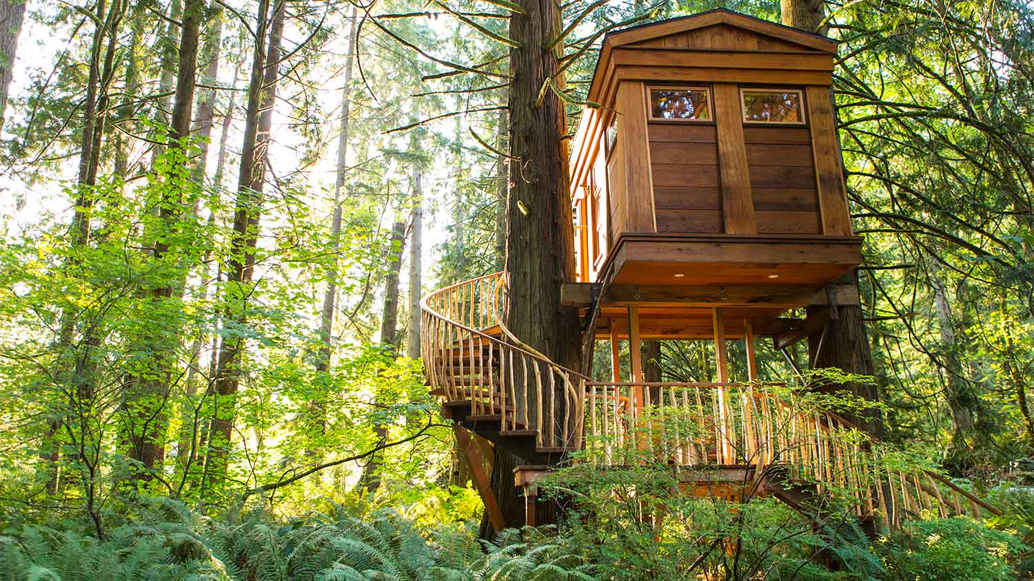 A treehouse with a staircase