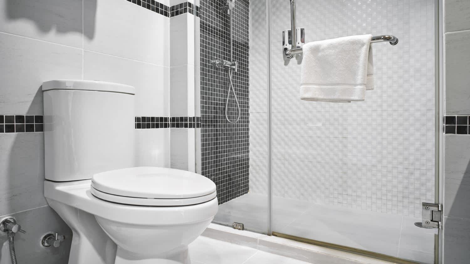 A view of a bathroom