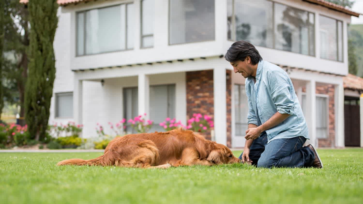 A man playing with his dog on the lawn