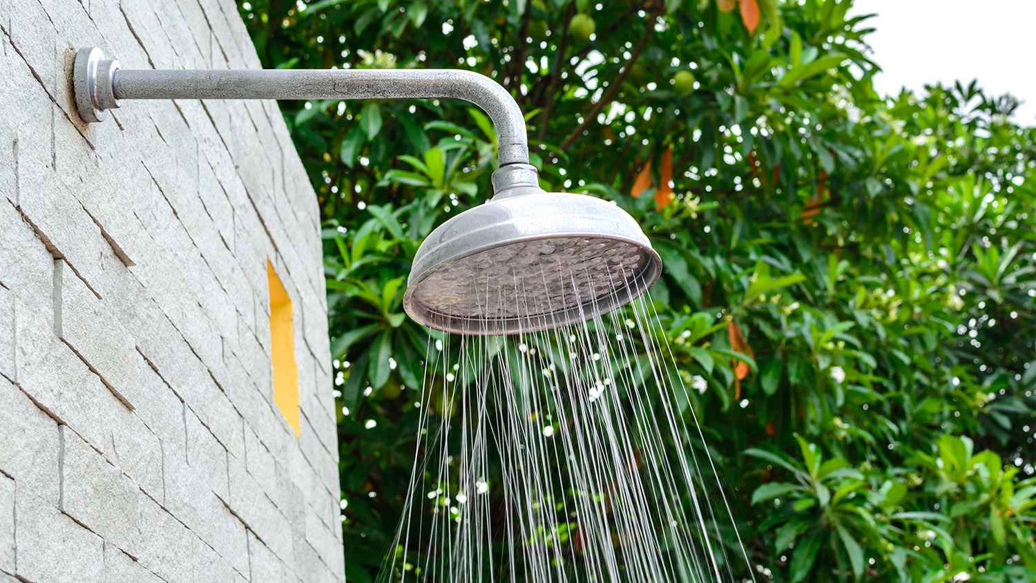 close up of outdoor shower head