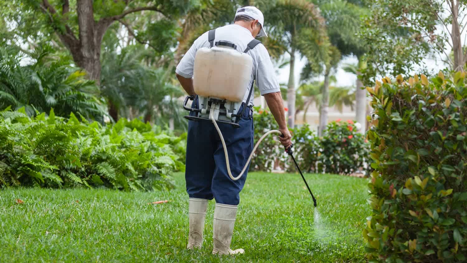 professional spraying lawn for weed control