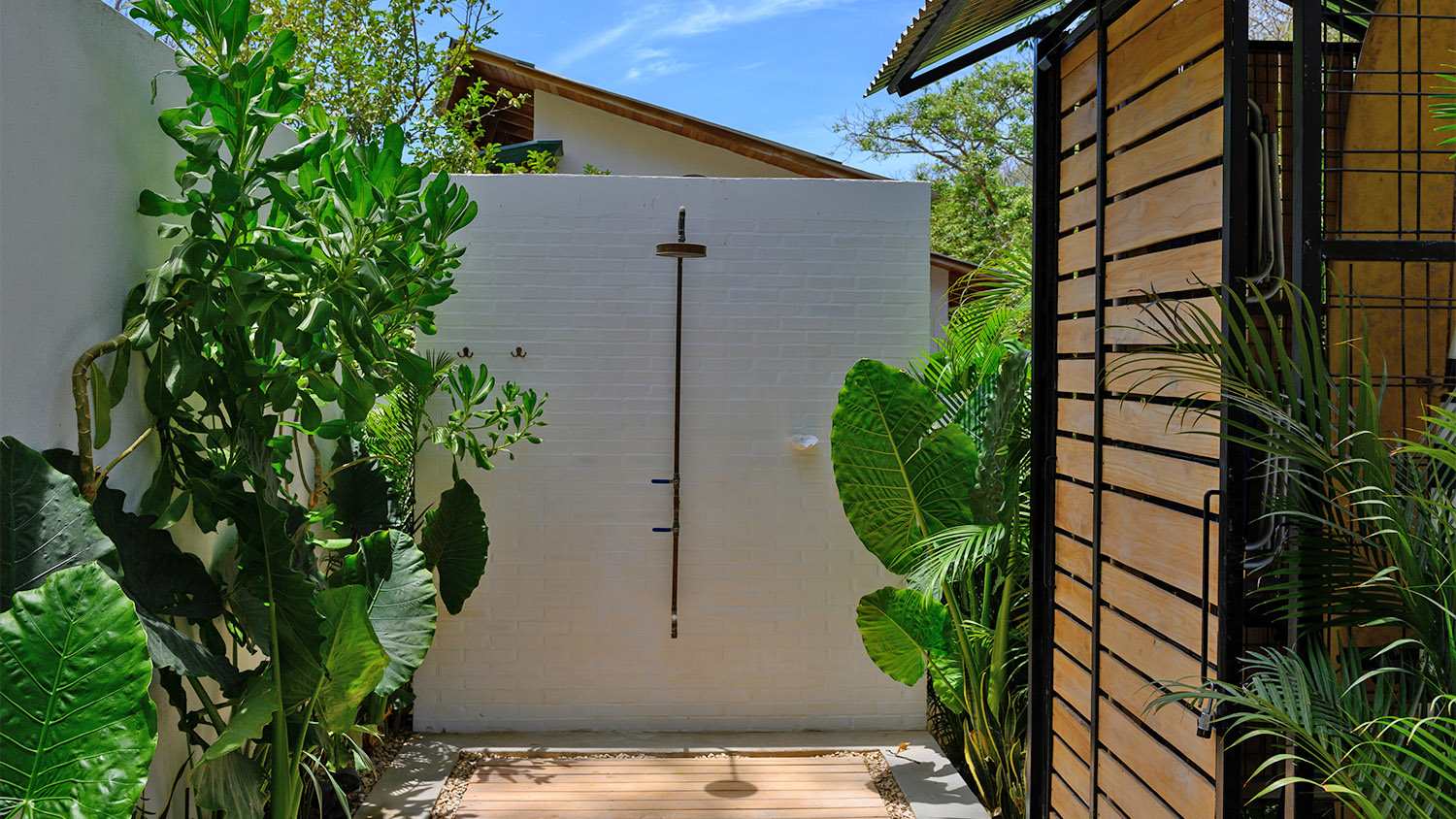 outdoor shower at modern home surrounded by plants
