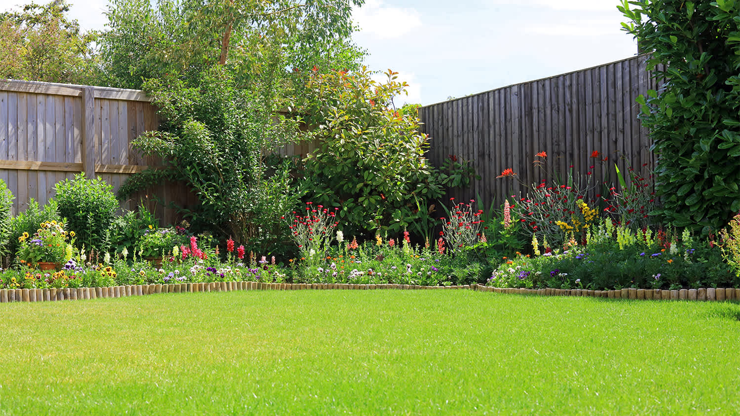 colorful flowers and healthy lawn inyard