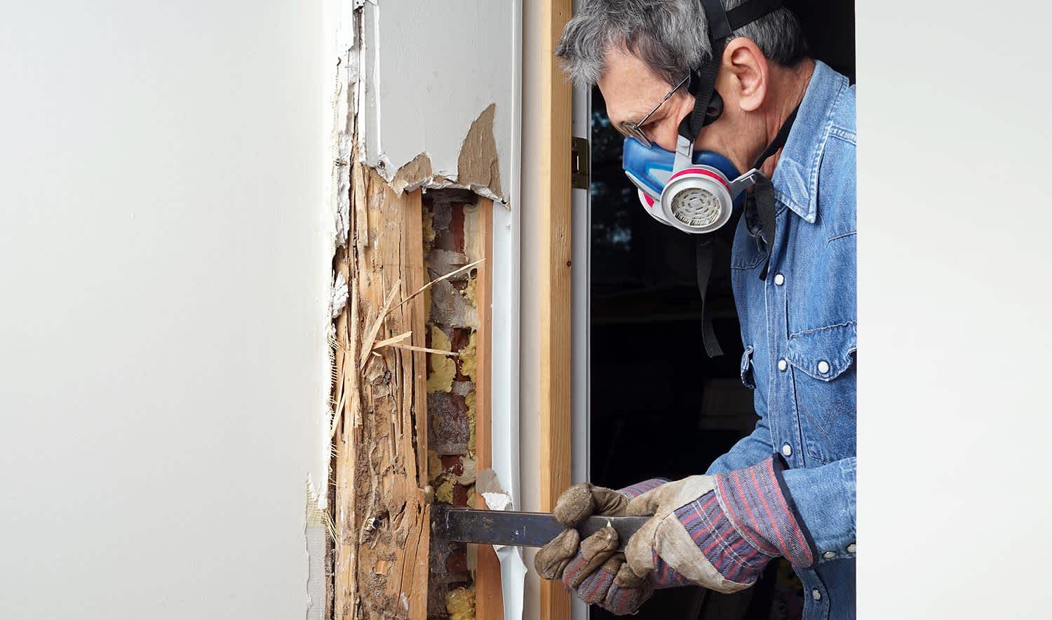 Man inspects termite damage in door and wall