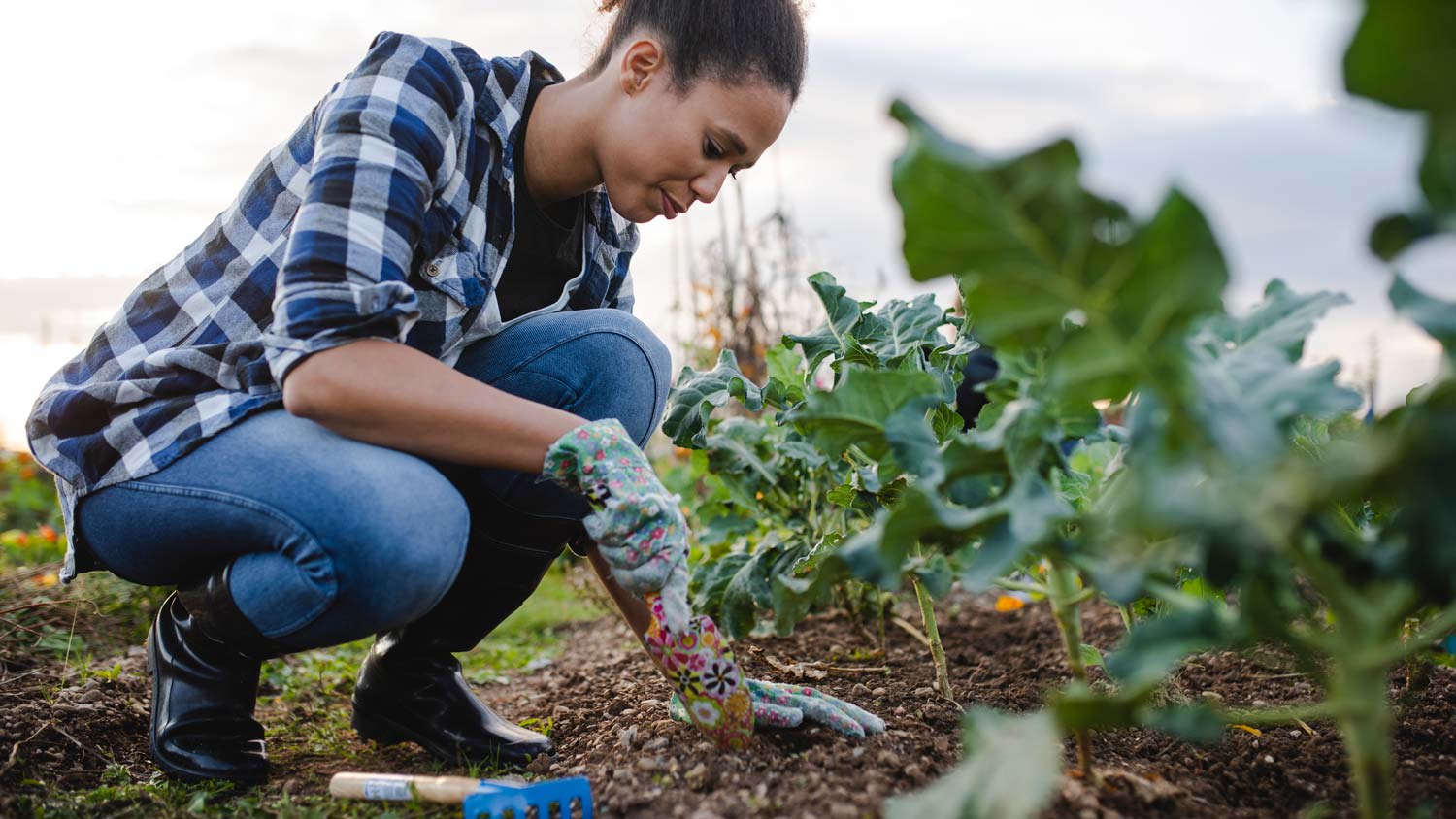 woman gardening outside