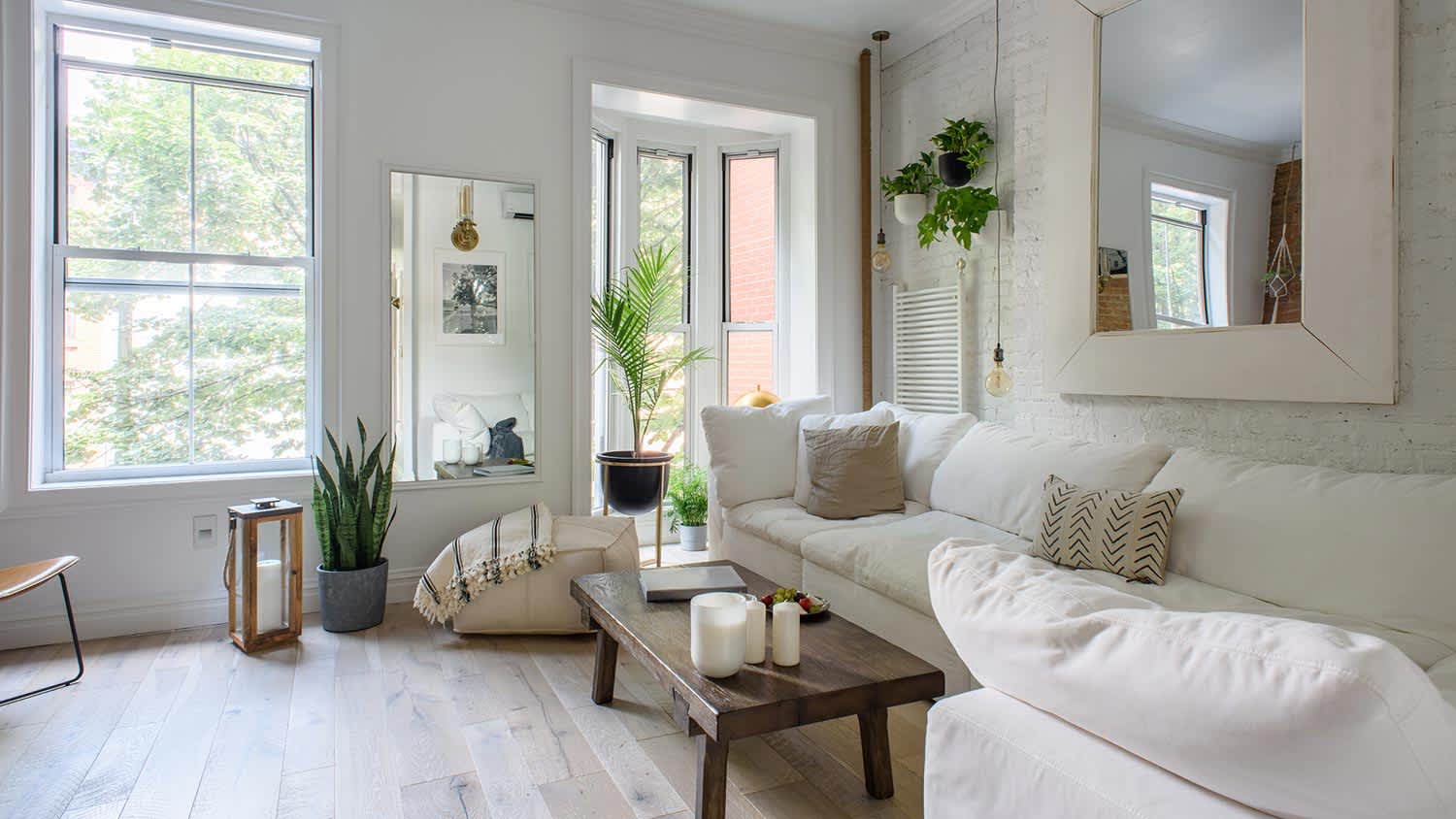 Room with plants