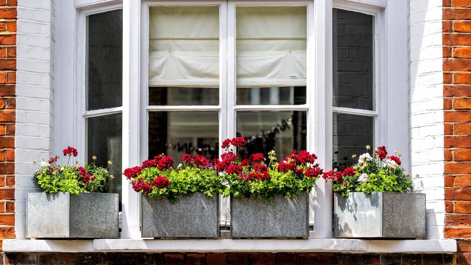 A bay window with roman shades and flowers