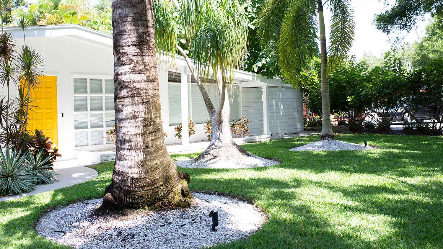 View of a lawn and house exterior
