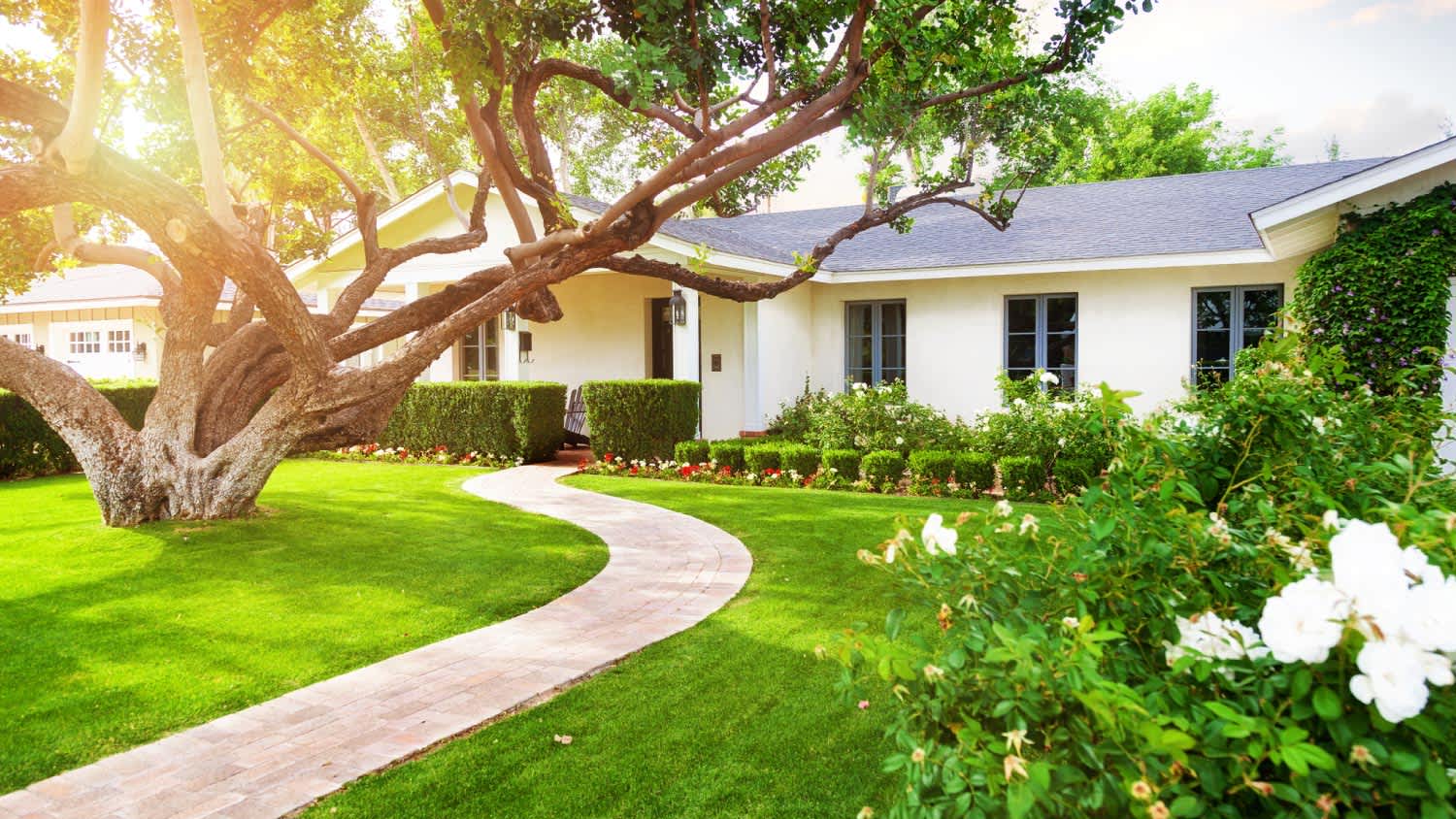 A nice house with large tree and roses