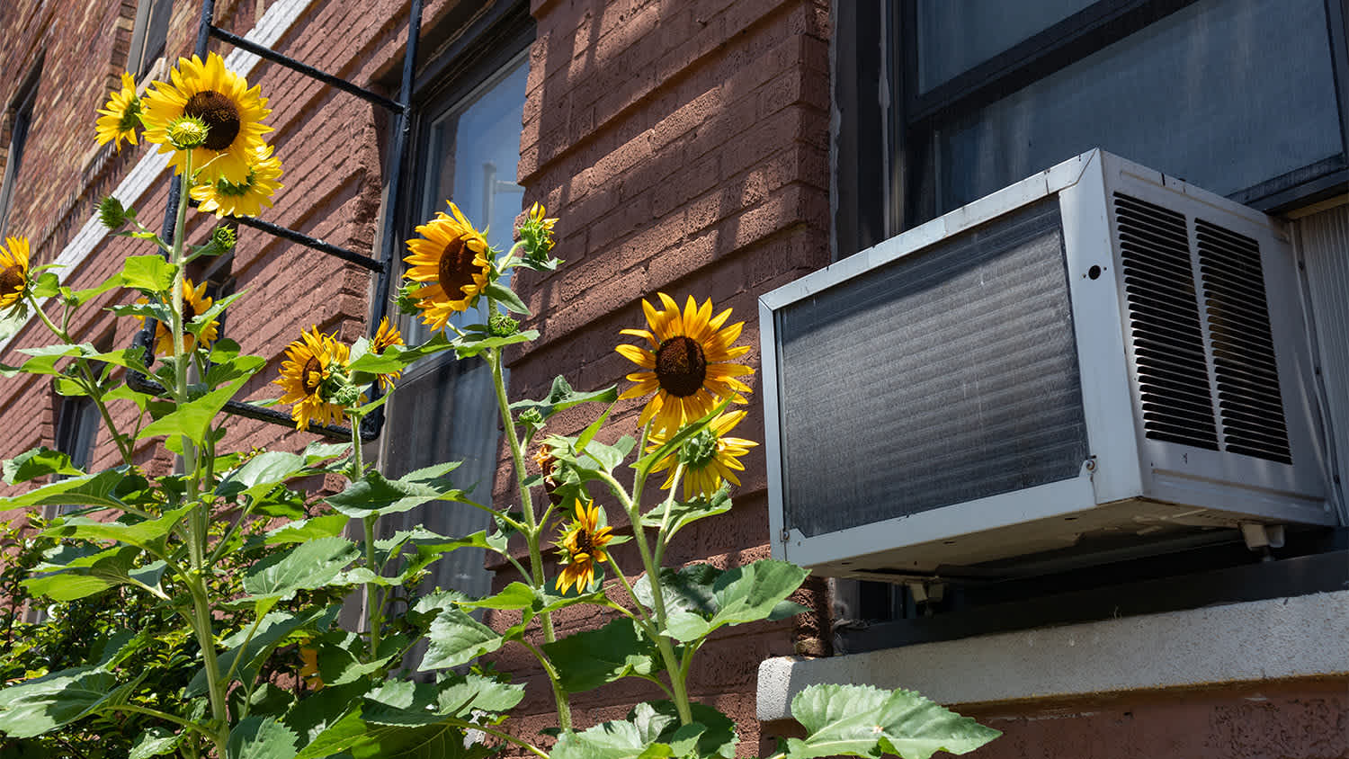 window air conditioner in apartment