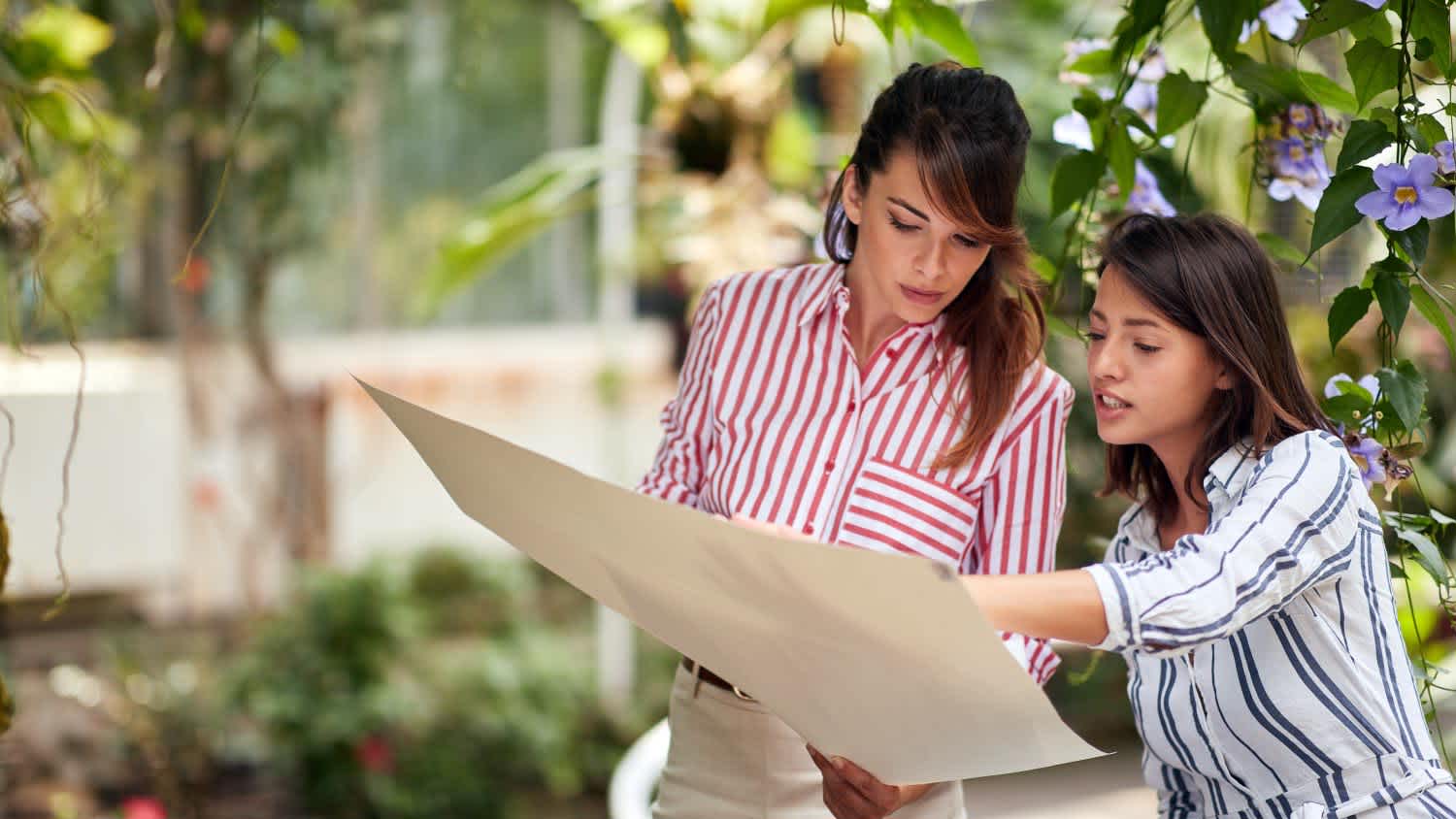 A landscape designer designing a garden