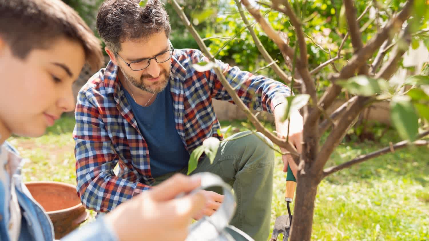 Father and son gardening together in the backyard