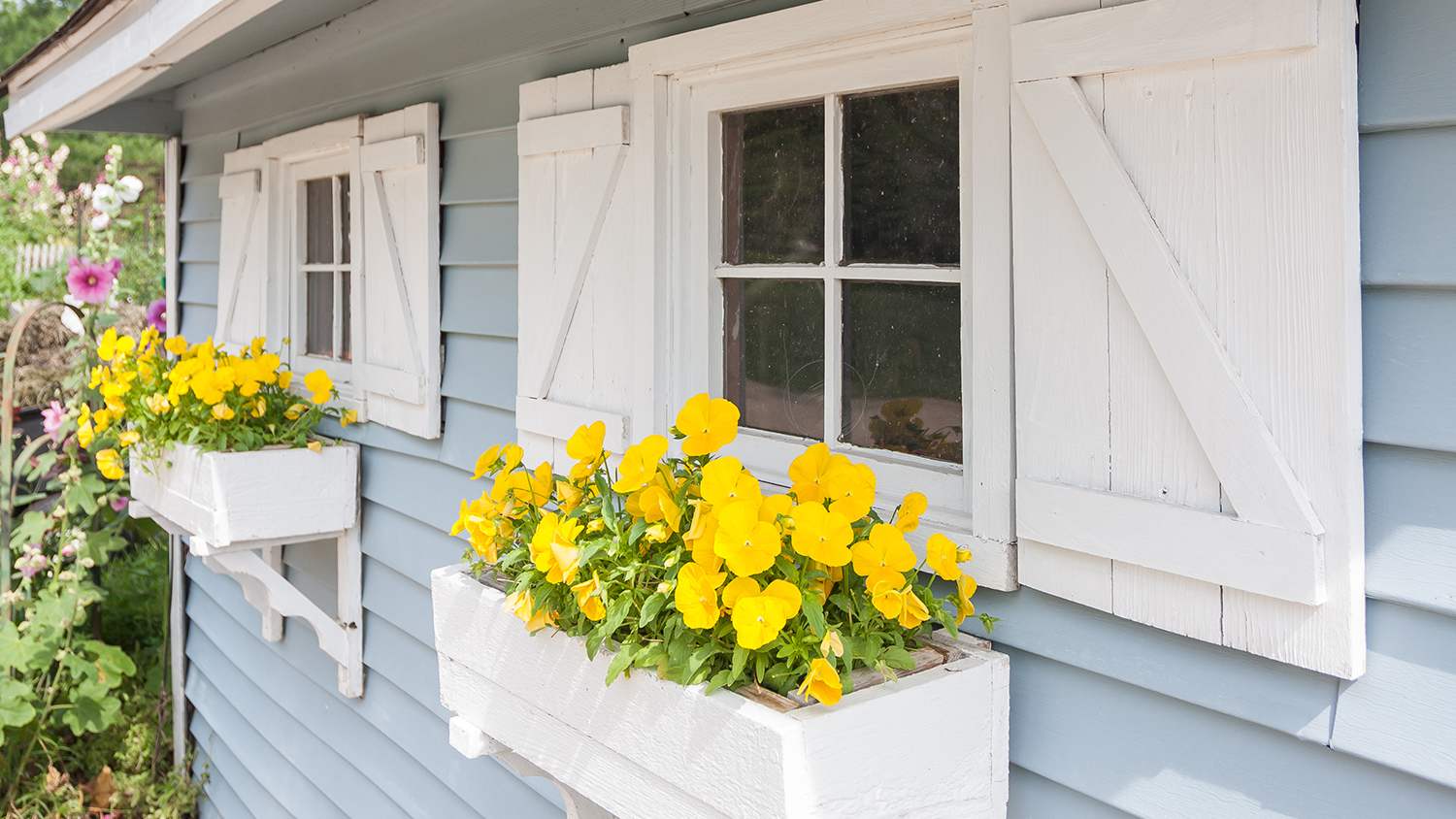 white board and batten shutters