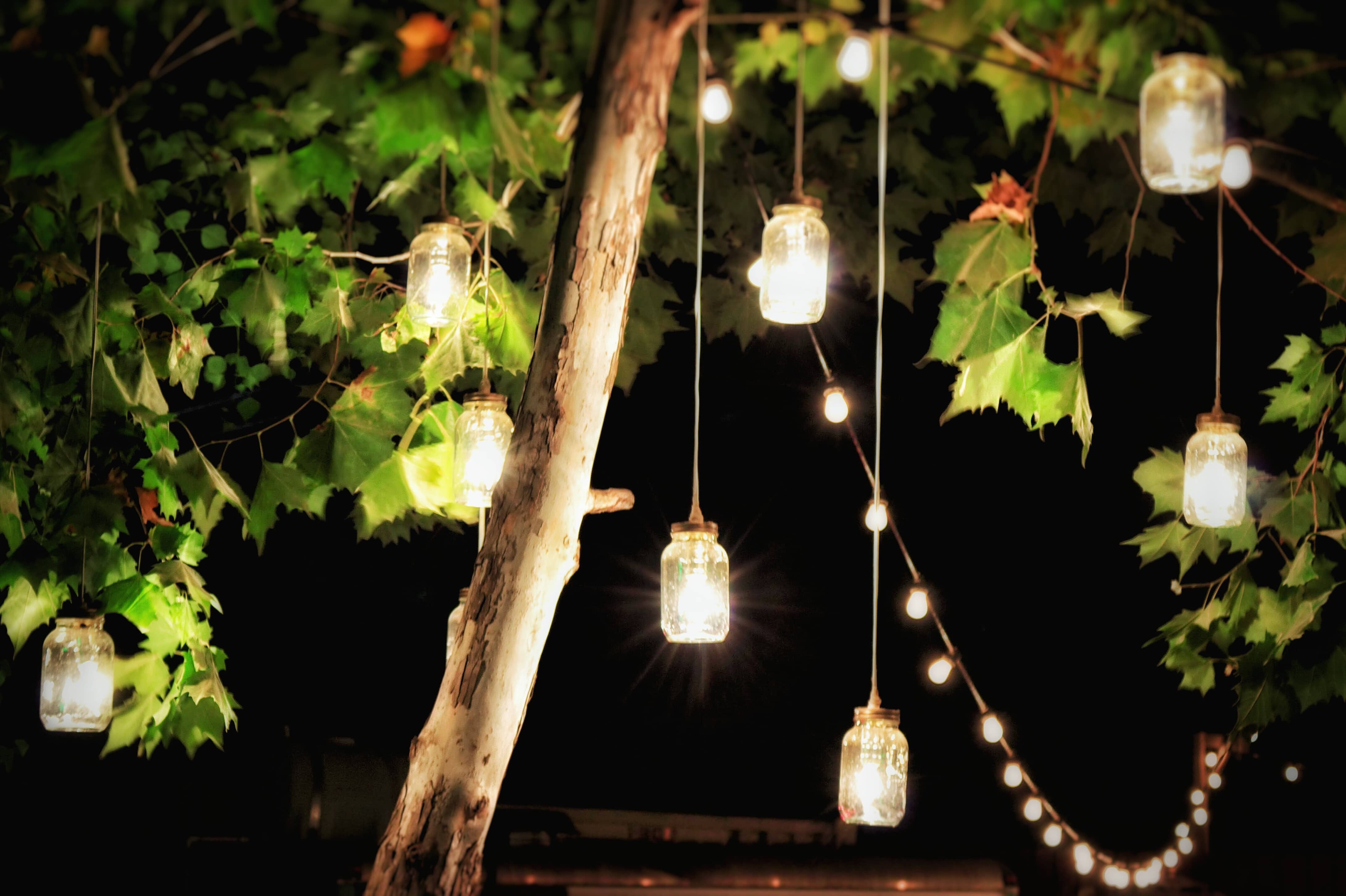 Trees with pendant lights hanging from them