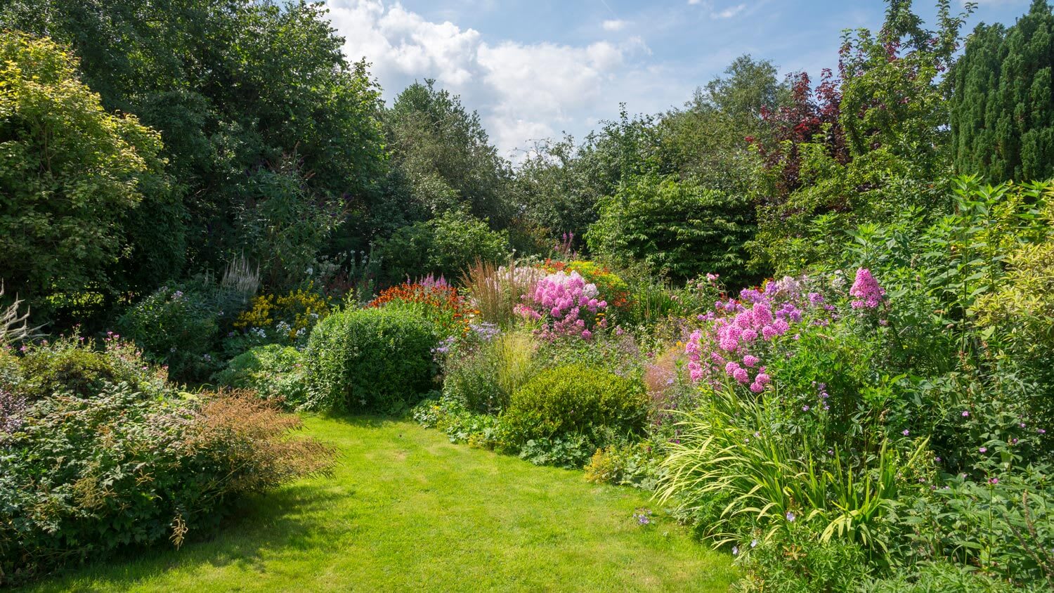 An abundant garden with shrubs and flowers