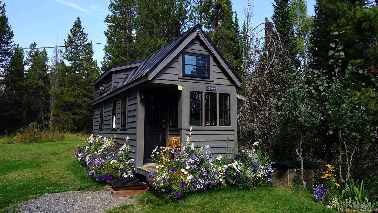 off grid forest tiny home