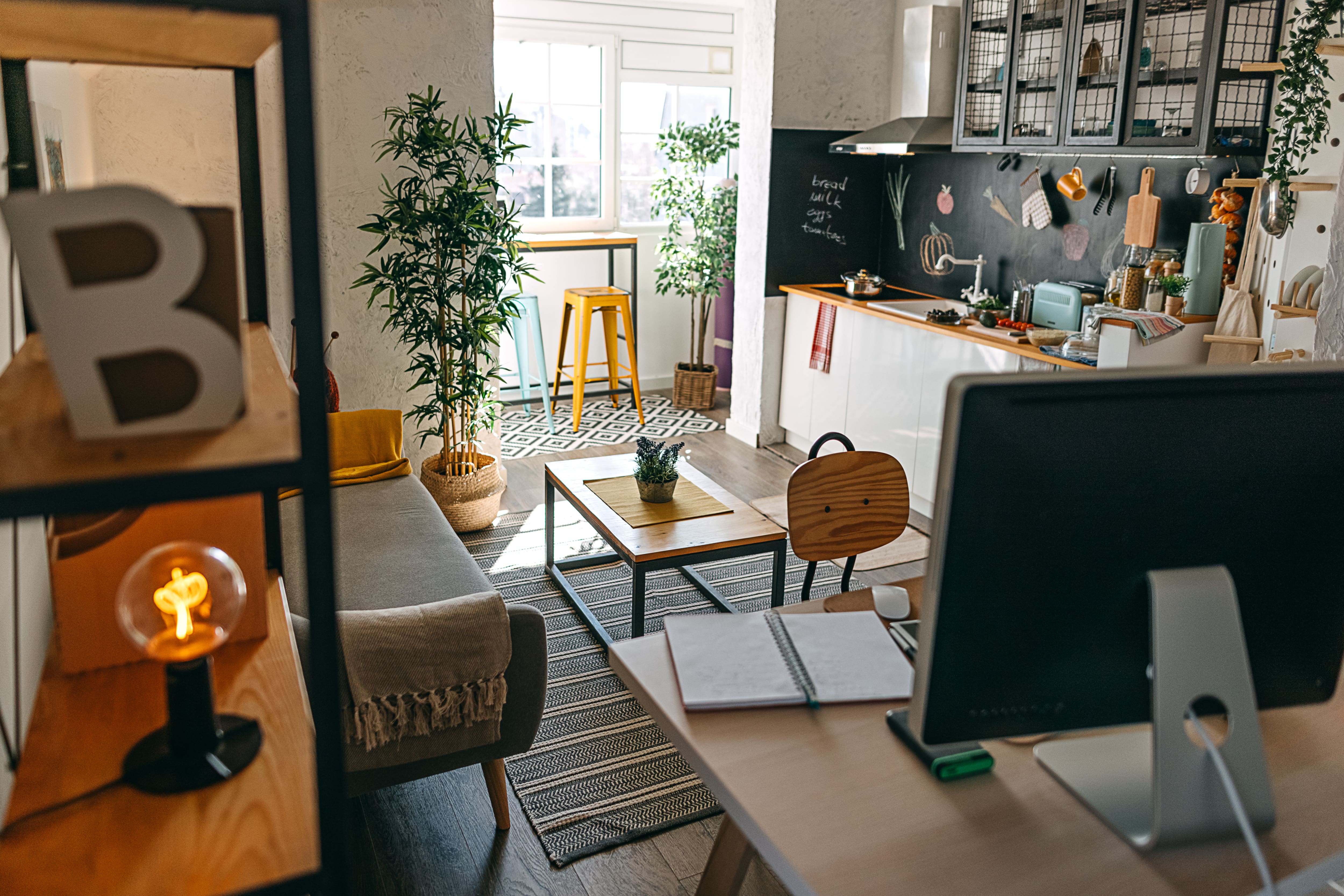 Studio apartment with houseplants as decor