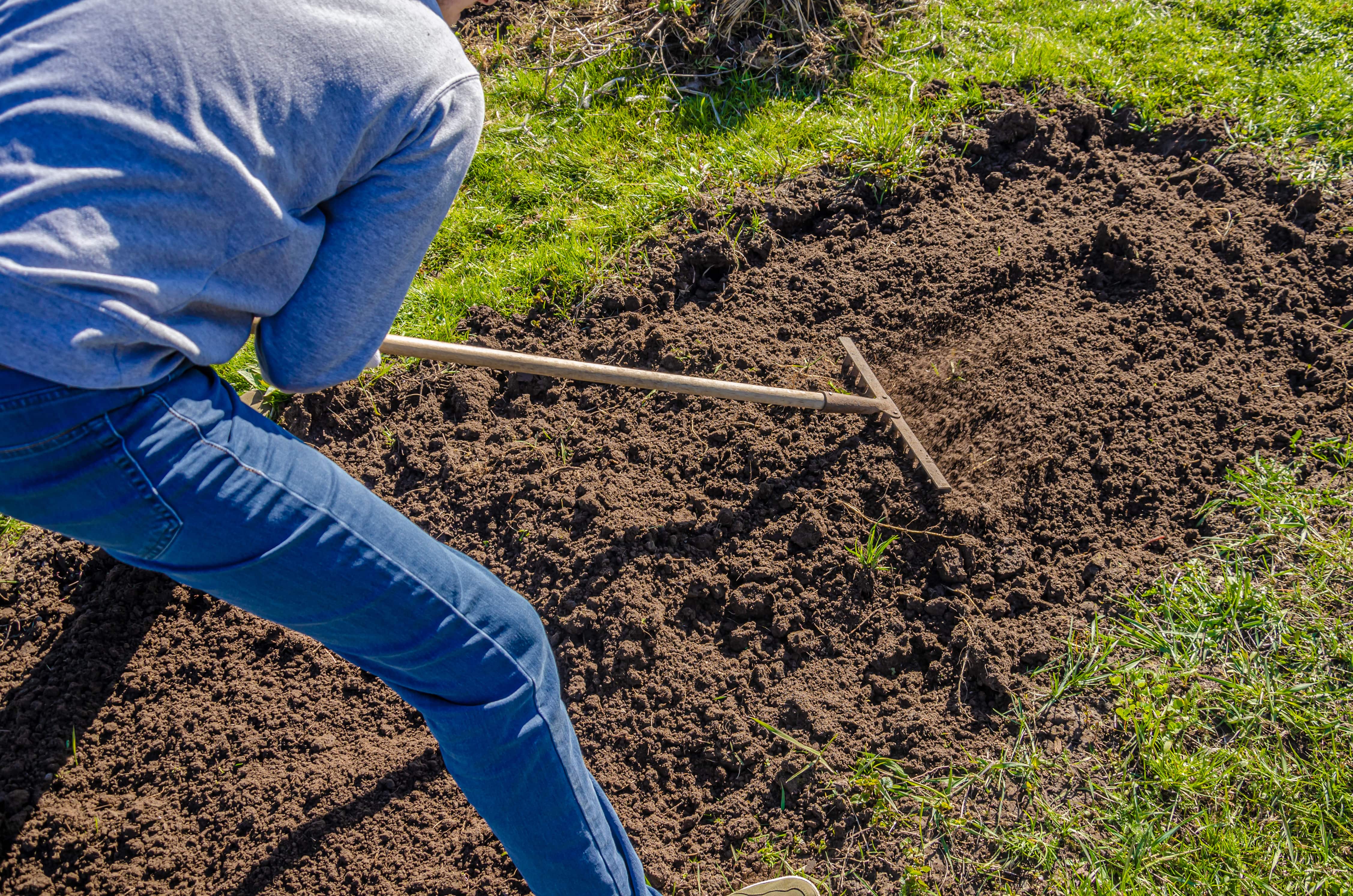Man raking bare soil before laying sod