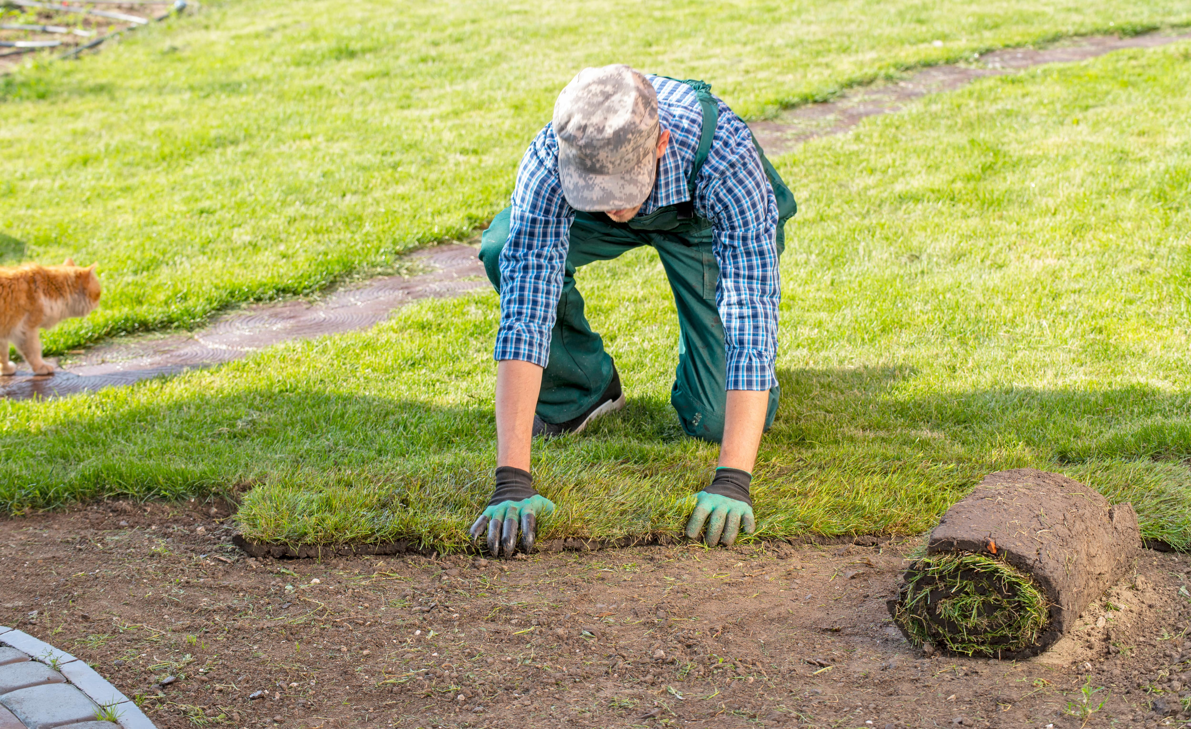 Man laying roll of sod