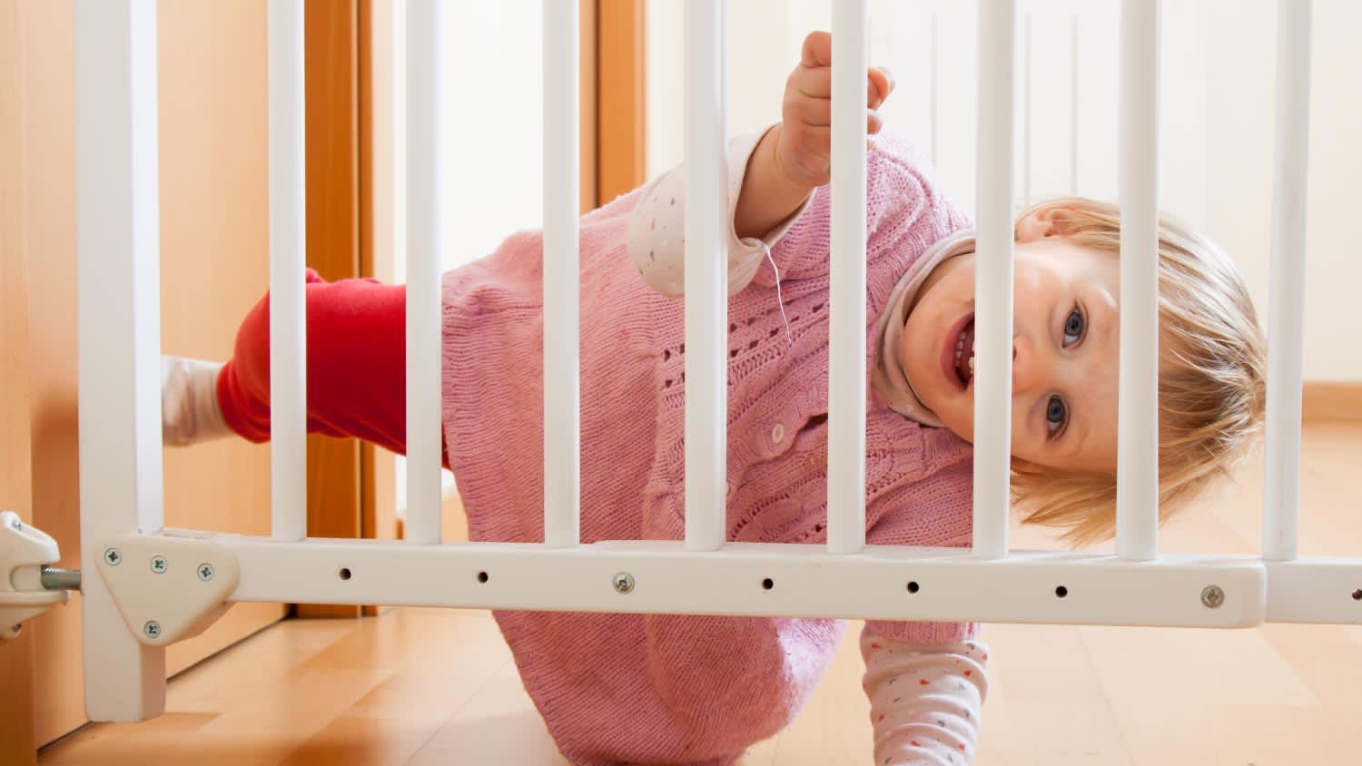 A baby and stair gate
