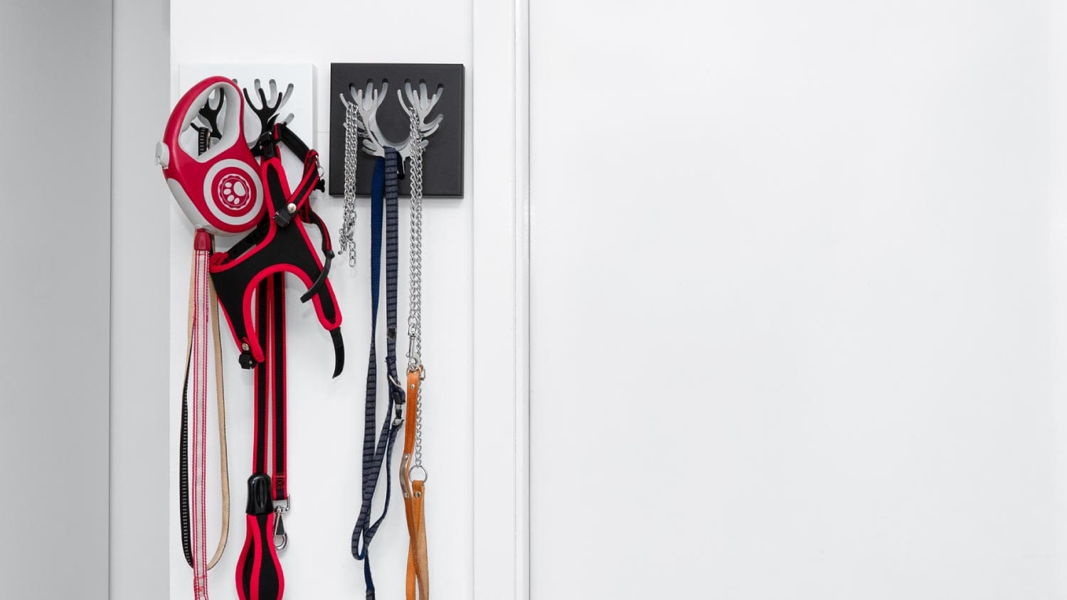 Dog equipment hanging on wall