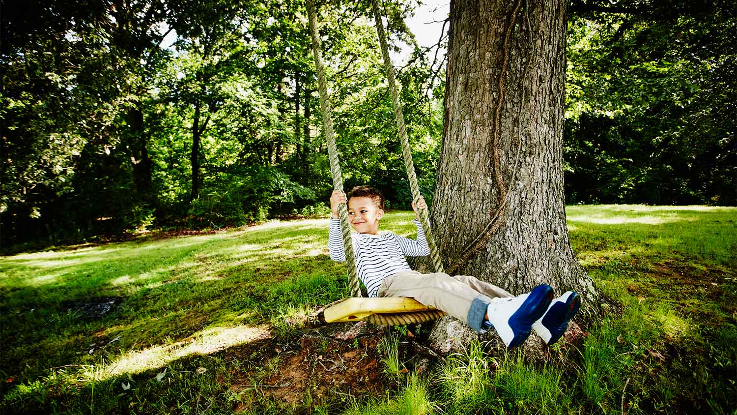 Child on tree swing