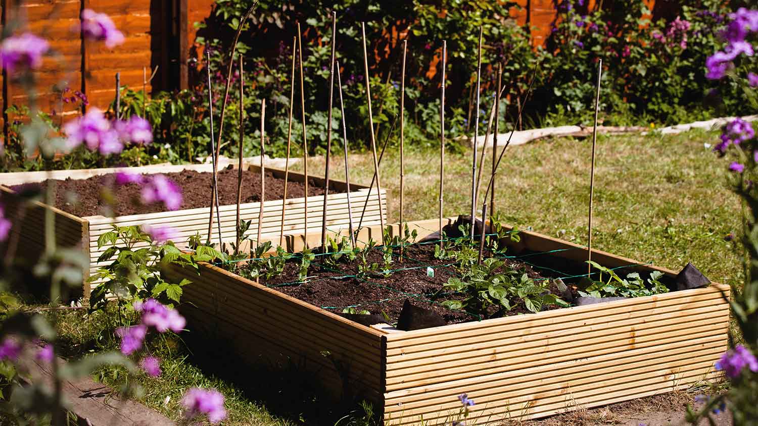 Square foot garden bed