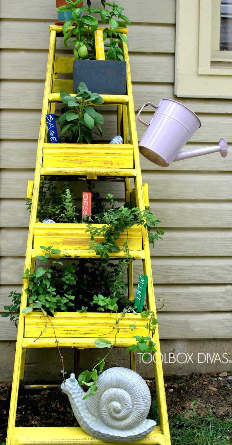 Garden built into a ladder