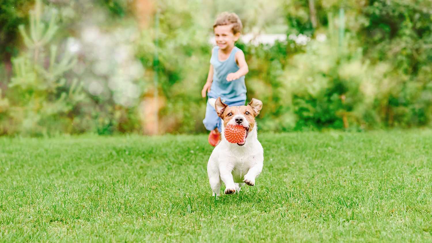 boy running with dog in the yard