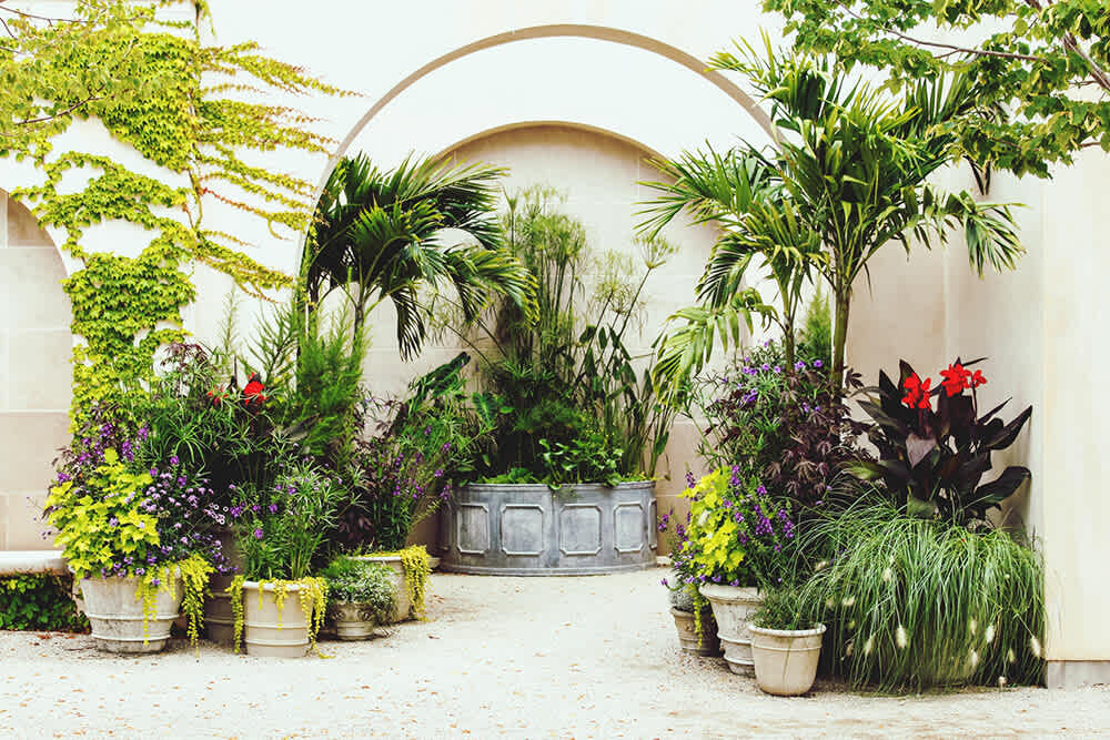 A container garden filled with a variety of plants