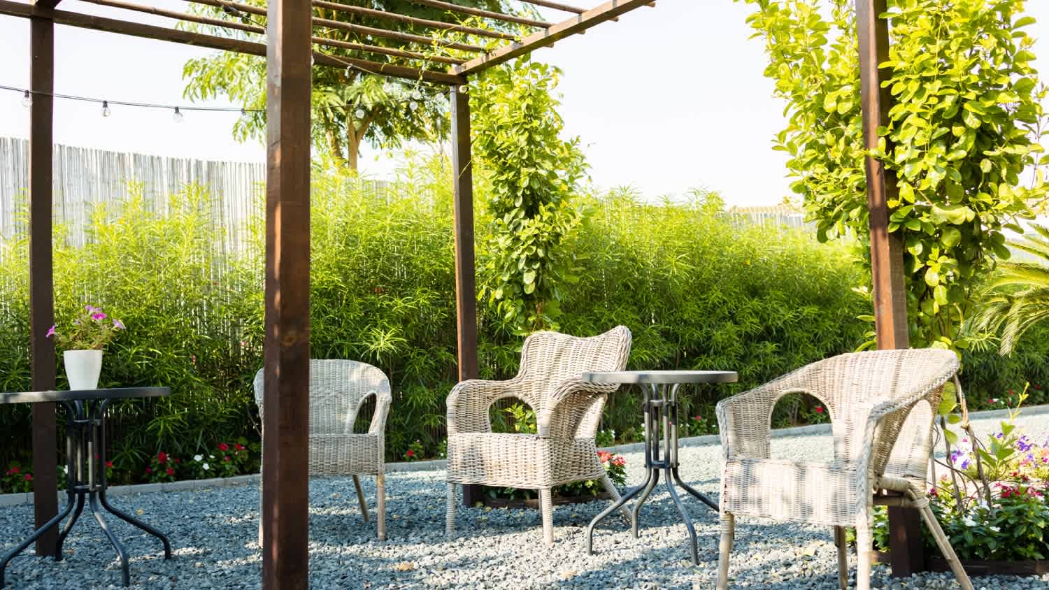 A backyard with gravel