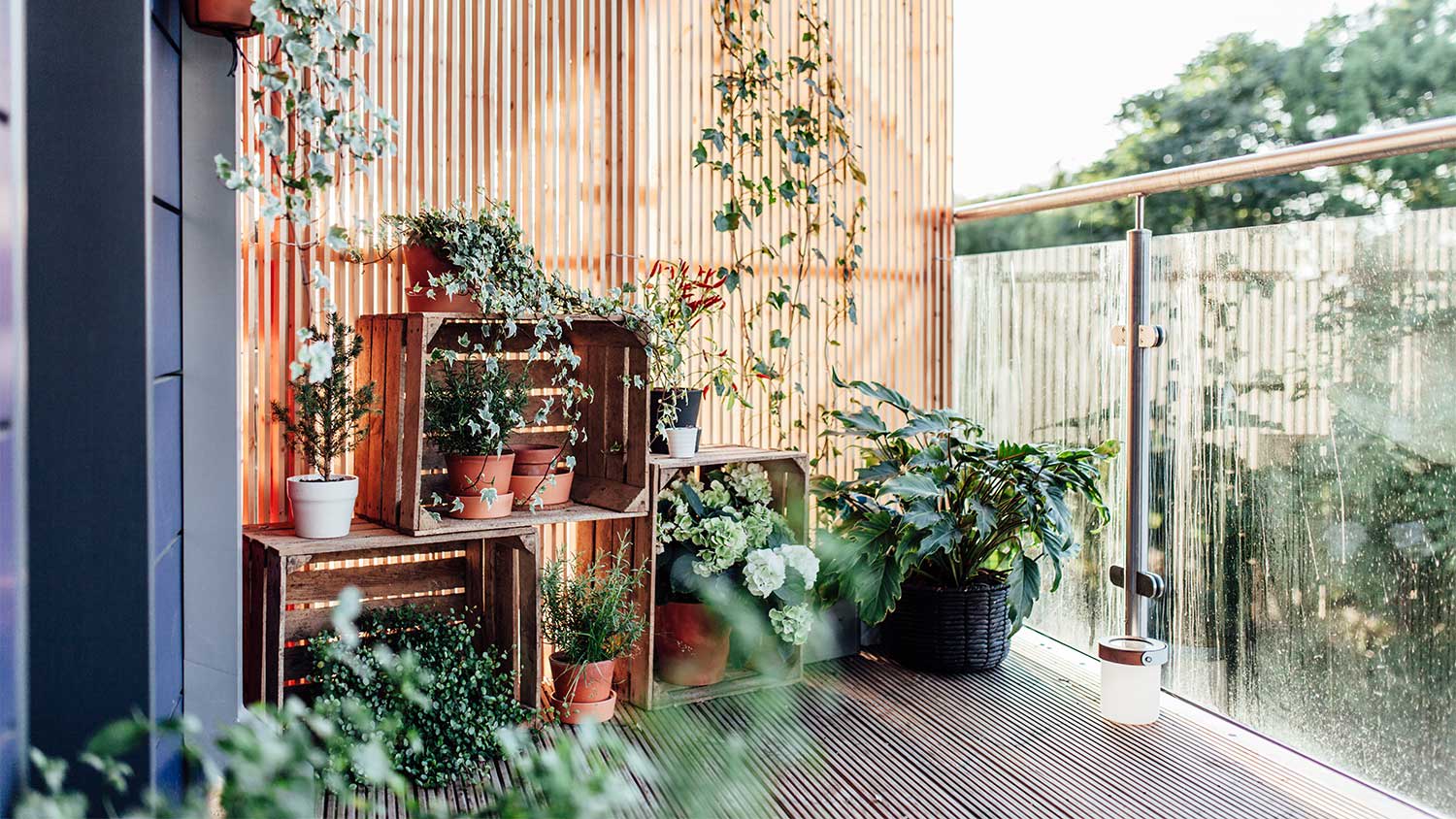 House balcony with potted plants