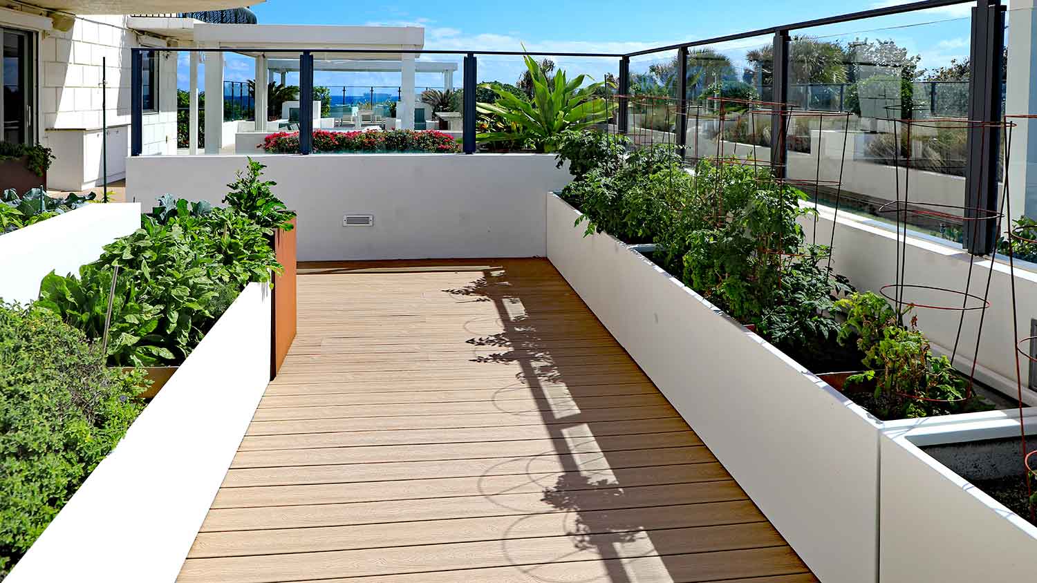 Vegetable garden on a rooftop terrace