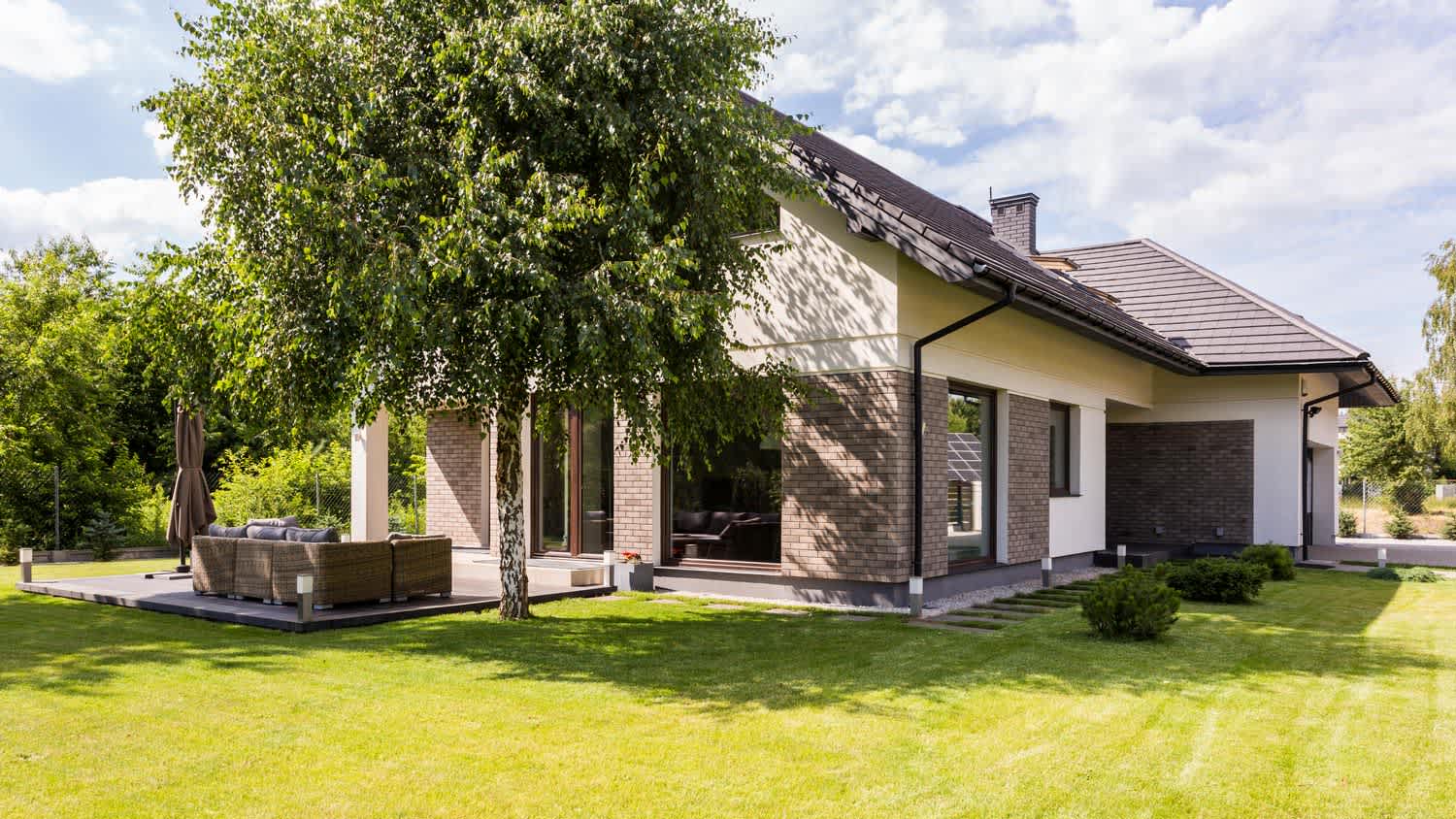 A large tree in the backyard of a modern house