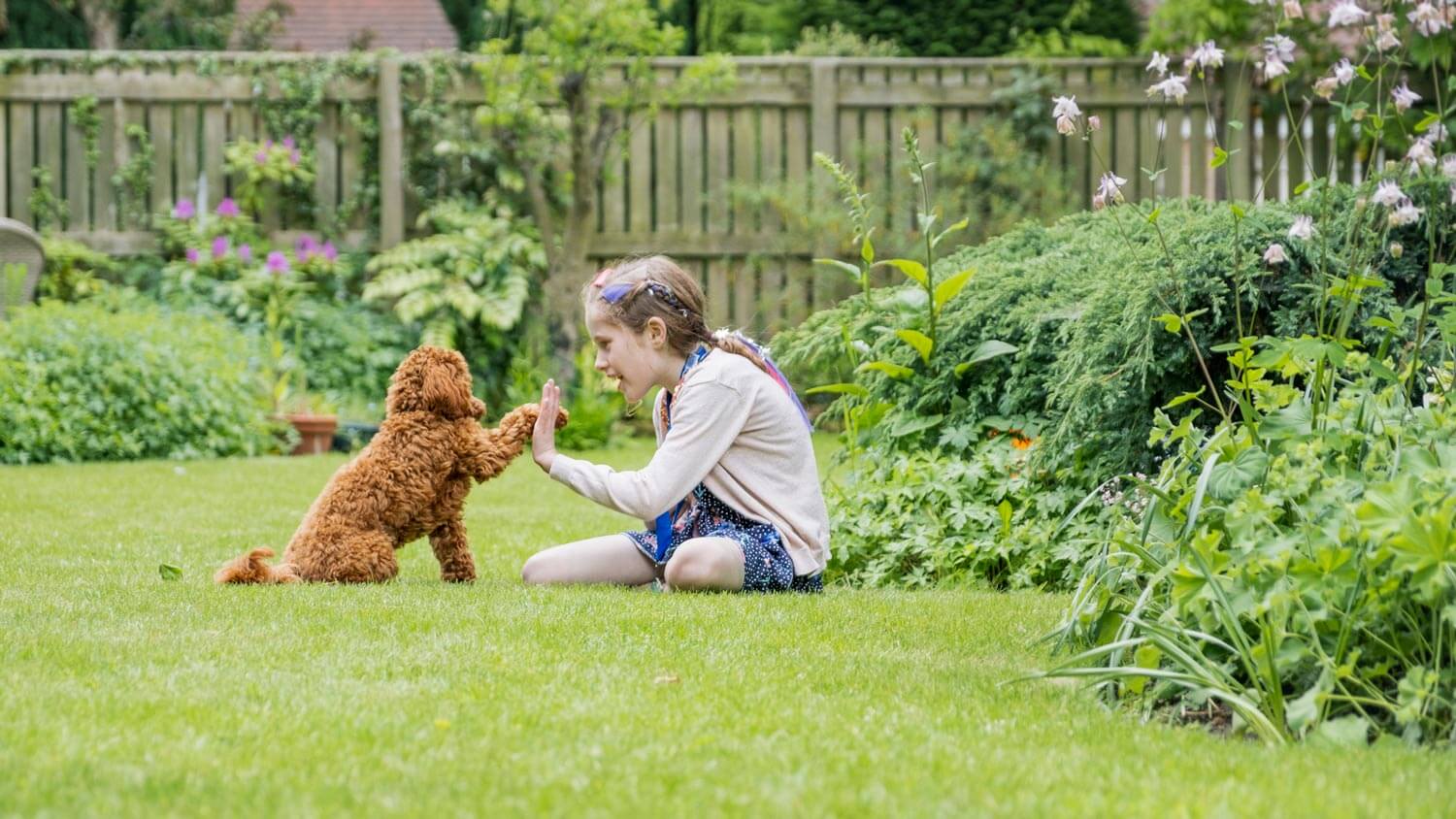 A little girl giving a high five to her puppy in the yard