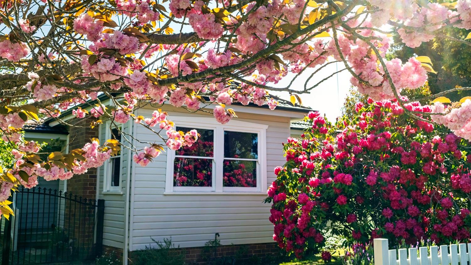 Springtime flowers in the front yard of a house